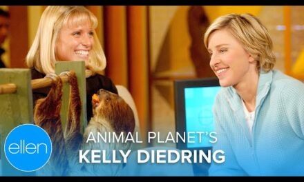 Animal Planet’s Kelly Diedring Talks Wildlife Adventures on The Ellen Degeneres Show