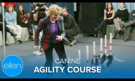 Dog Agility on The Ellen Degeneres Show: Amazing Athleticism and Joyful Entertainment
