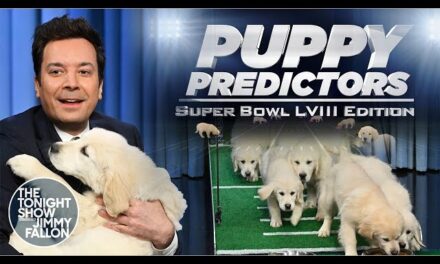 The Tonight Show’s Puppy Predictors Choose the Winner of Super Bowl LVIII!
