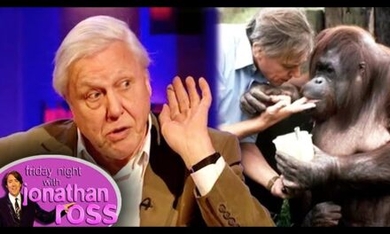Sir David Attenborough Discusses Humans and Apes on Friday Night With Jonathan Ross