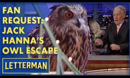 Wildlife Expert Jack Hanna Wows Audience with Thrilling Animal Encounters on David Letterman Show