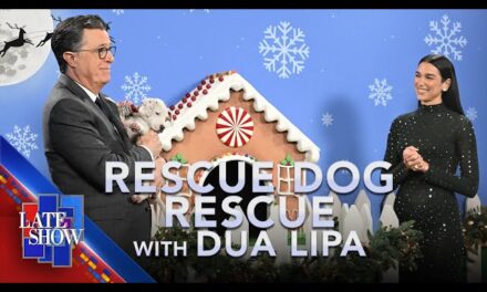 Dua Lipa Joins Stephen Colbert for Heartwarming Holiday Edition of ‘Rescue Dog Rescue’