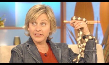 12-Year-Old Cody Ford Impresses Ellen with Snake Expertise on The Ellen Degeneres Show