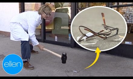 Ellen DeGeneres Gets Hilarious Eye Exam at Lind Crafters on The Ellen DeGeneres Show