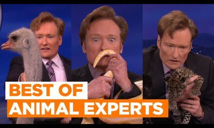 Conan O’Brien’s Talk Show Delights with Deadly Jaguars, Adorable Monkeys, and Unique Anteater